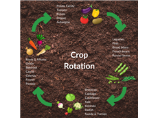 The Advantages of Crop Rotation: A Smart Strategy for Sustainable Agriculture