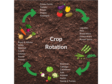 The Advantages of Crop Rotation: A Smart Strategy for Sustainable Agriculture