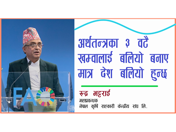  अर्थतन्त्रका ३ वटै खम्वालाई वलियो बनाए मात्र देश बलियो हुन्छ