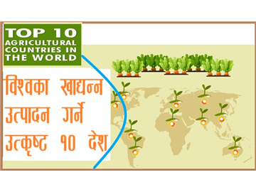 विश्वमा सबैभन्दा बढि खाद्यन्न उत्पादन गर्ने देश चीन,  नेपाल दाल र अदुवामा ५ औं स्थानमा 