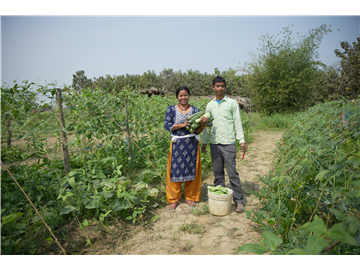 Agriculture in Nepal: The Backbone of Our Economy